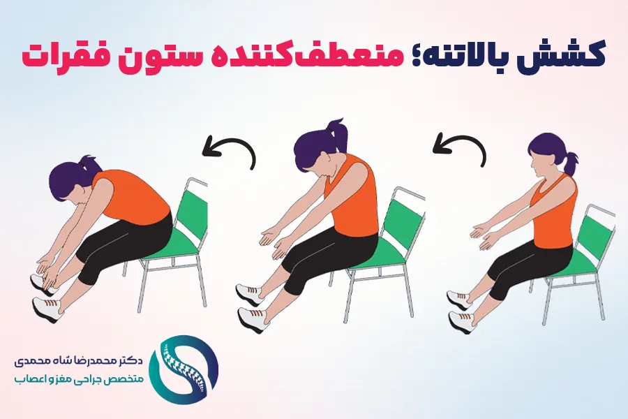کشش بالاتنه در حالت نشسته - تمرینات ویلیامز برای درمان کمردرد