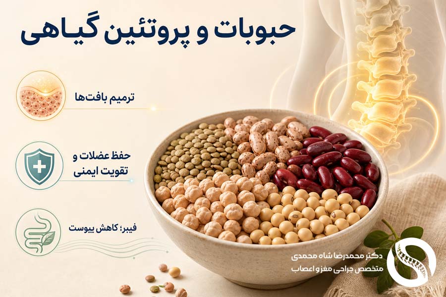 تاثیر مصرف حبوبات و پروتئین گیاهی در بهبود بعد از عمل دیسک کمر - دکتر محمدرضا شاه محمدی