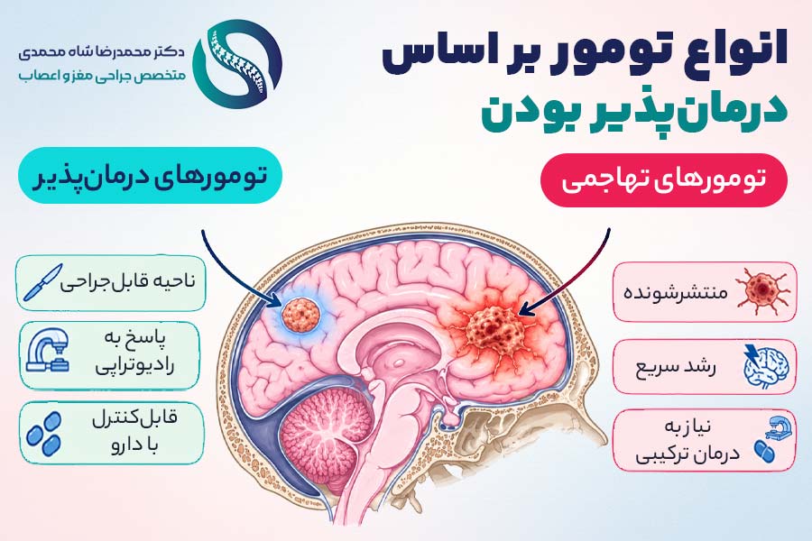 انواع تومور بر اساس درمانپذیر بودن - دکتر محمدرضا شاه محمدی جراح تومور مغزی